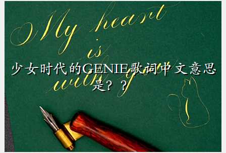 少女时代的GENIE歌词中文意思是？？